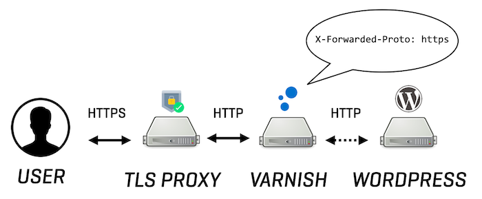 A diagram of the use of the X-Forwarded-Proto header in WordPress with a TLS proxy and Varnish