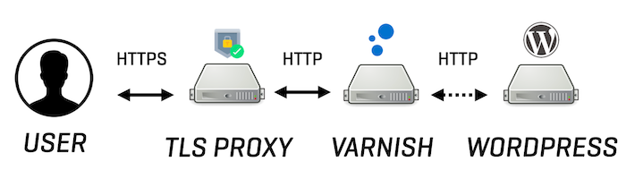 TLS termination diagram with Varnish and WordPress